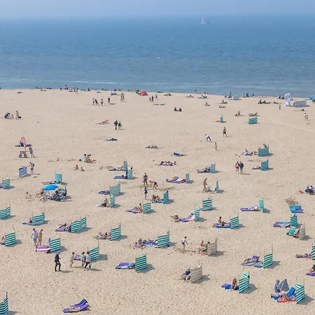 Lecomte - The Shoreline Kursaal 65 公寓 *