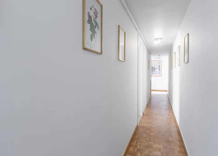 Lecomte - The Shoreline Kursaal 65