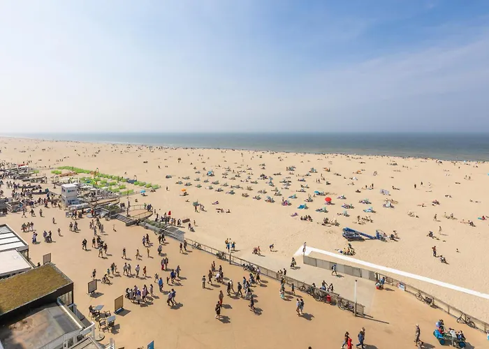 Lecomte - The Shoreline Kursaal 65 *